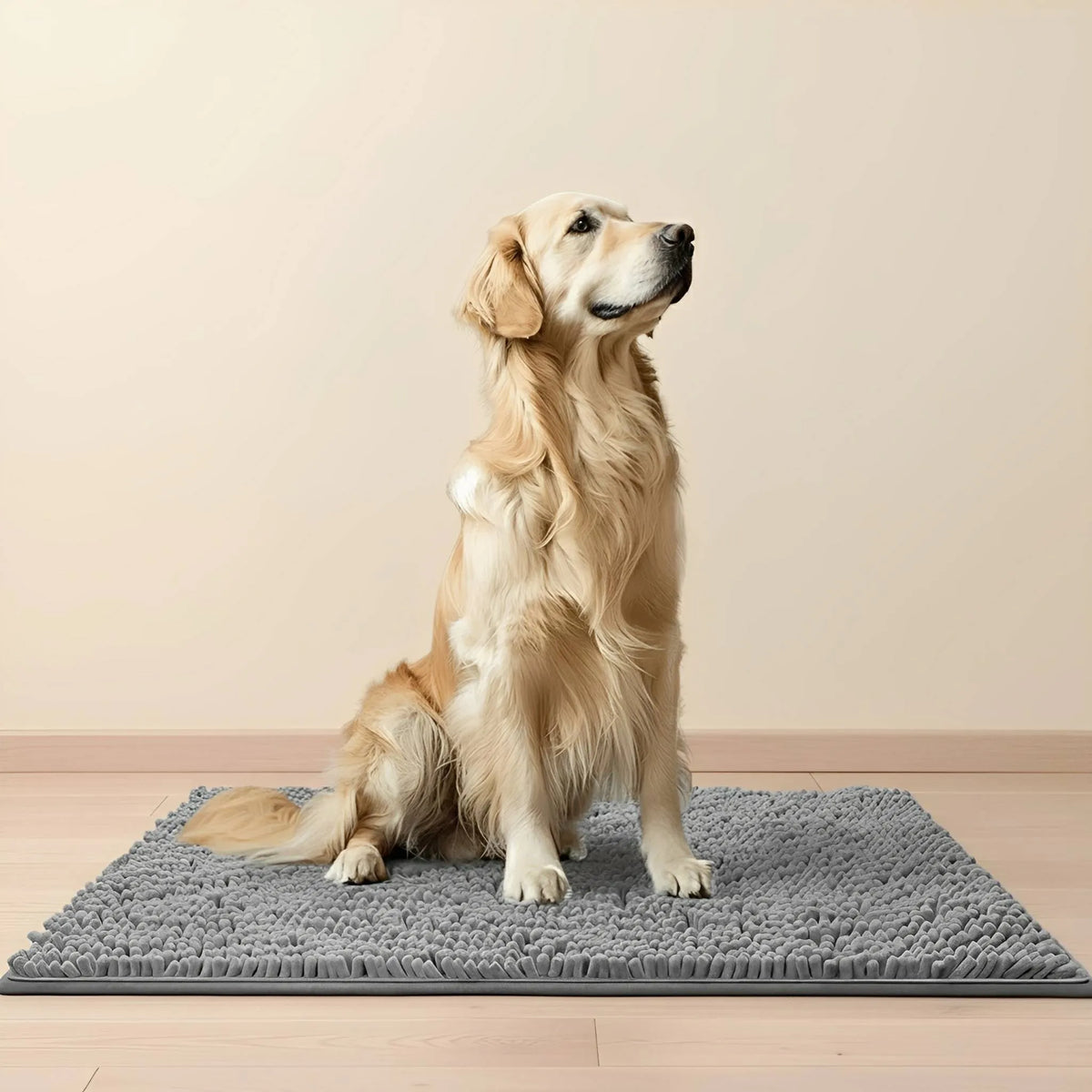 Absorbent Non-Slip Dog Door Mat for Muddy Paws