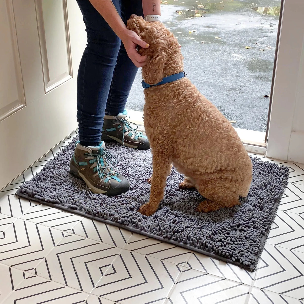 Absorbent Non-Slip Dog Door Mat for Muddy Paws
