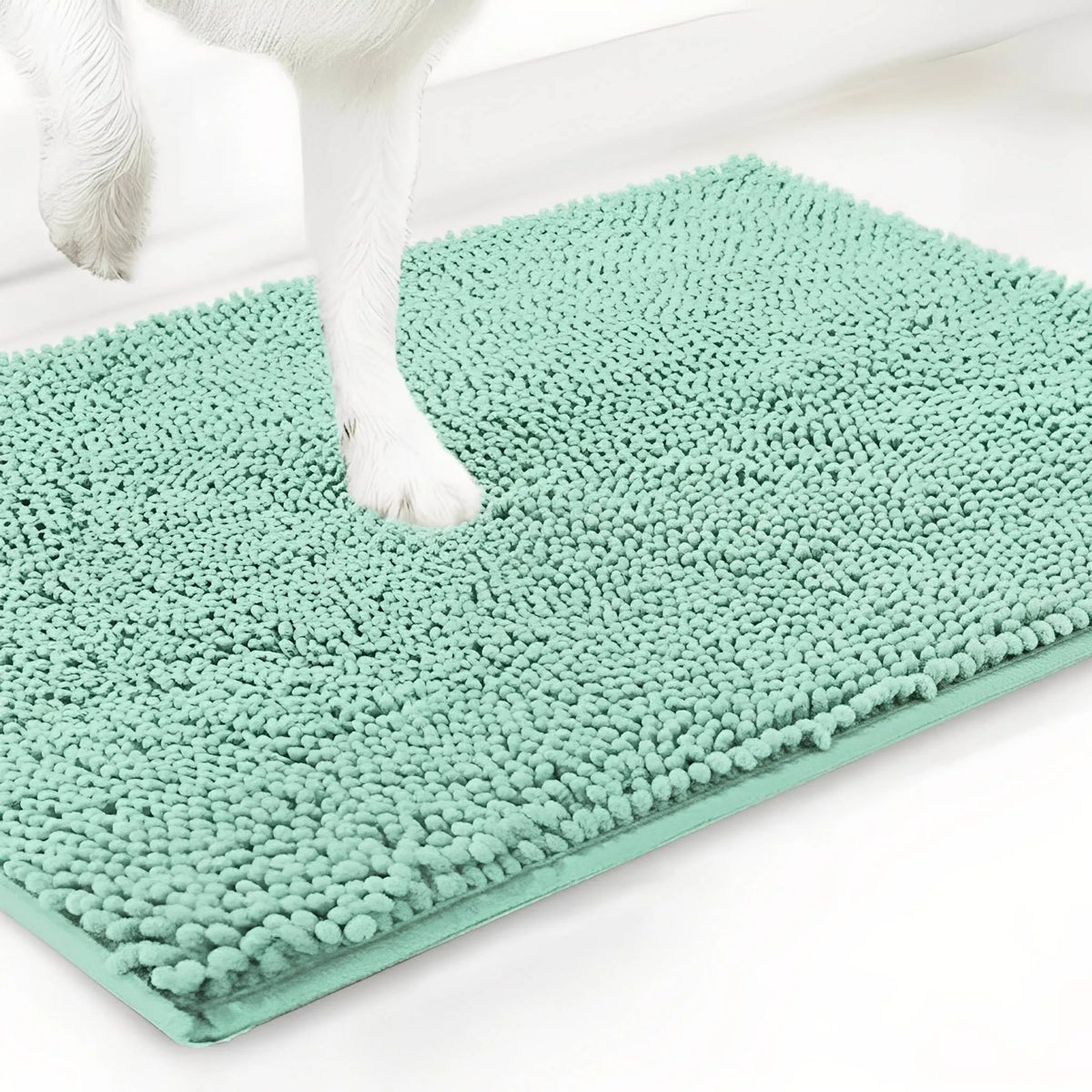 Absorbent Non-Slip Dog Door Mat for Muddy Paws