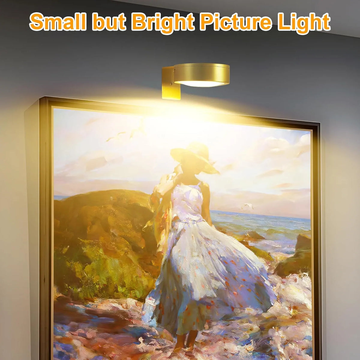 Adjustable Magnetic Picture Light with Touch Control and Remote
