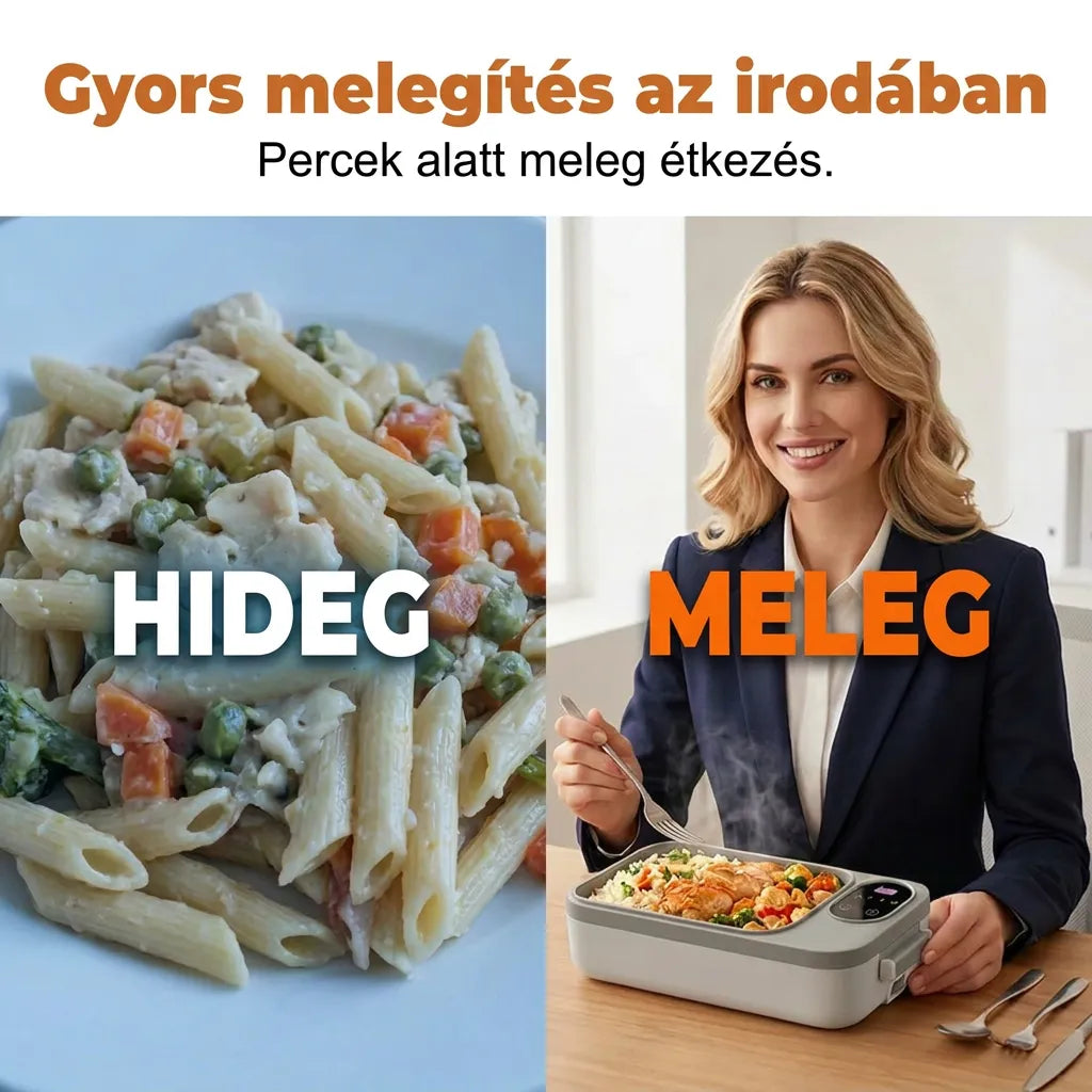 Cordless Self-Heating Electric Lunch Box