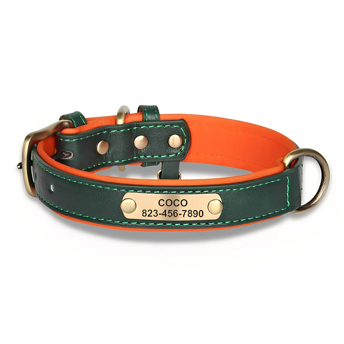 Engraved Leather Dog Collar with Nameplate