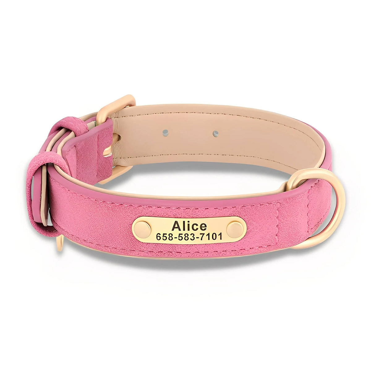 Engraved Leather Dog Collar with Nameplate