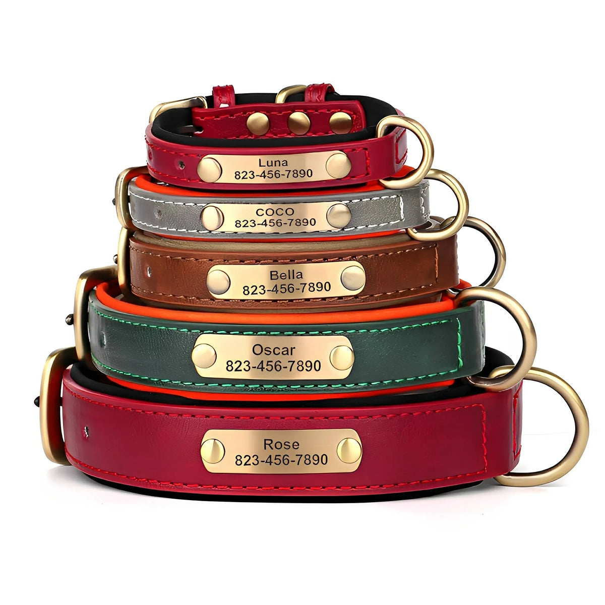 Engraved Leather Dog Collar with Nameplate