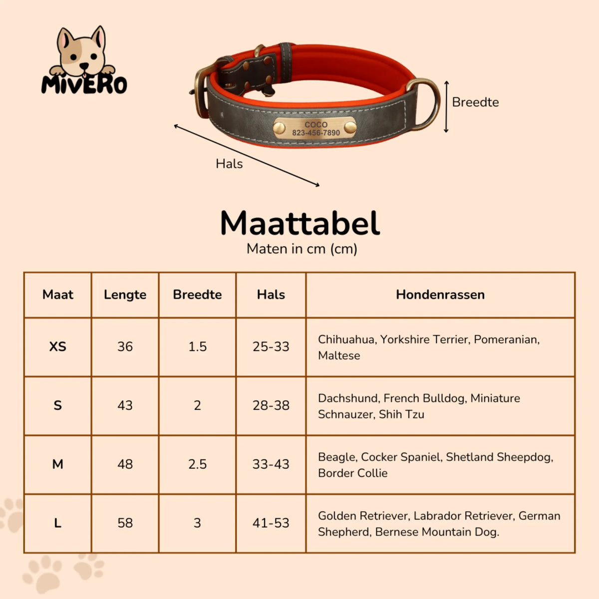 Engraved Leather Dog Collar with Nameplate