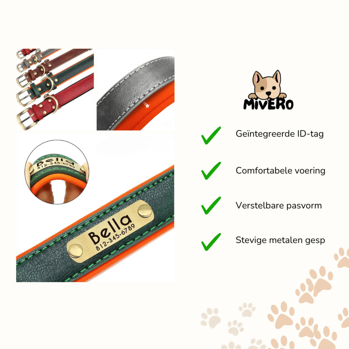 Engraved Leather Dog Collar with Nameplate