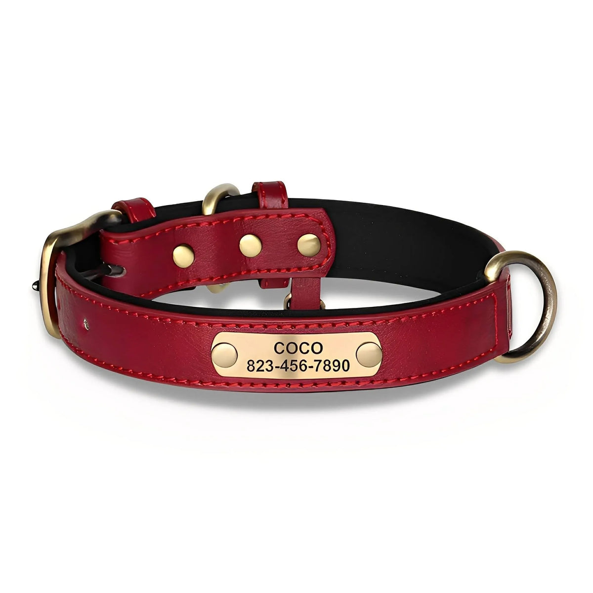 Engraved Leather Dog Collar with Nameplate