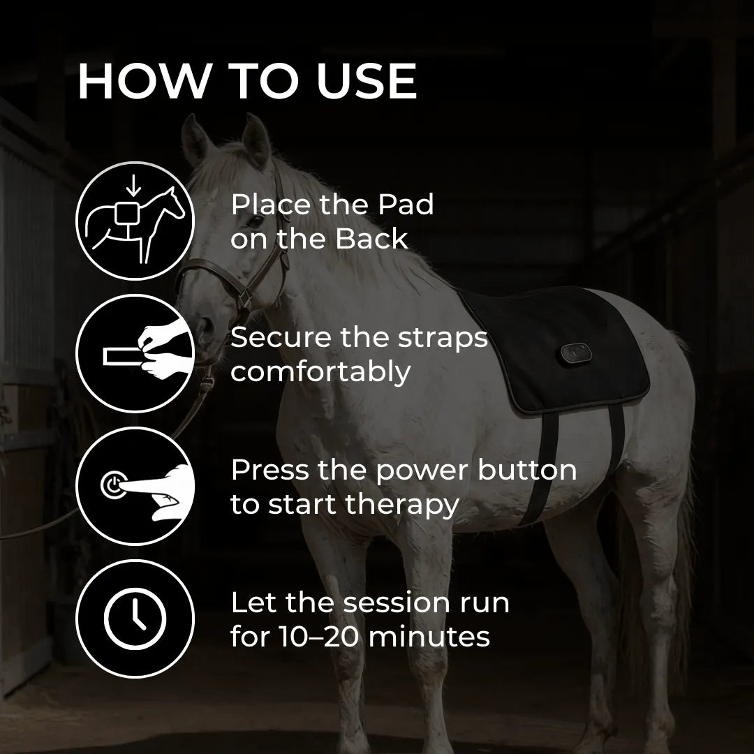 Equine Red Light Therapy Back Wrap