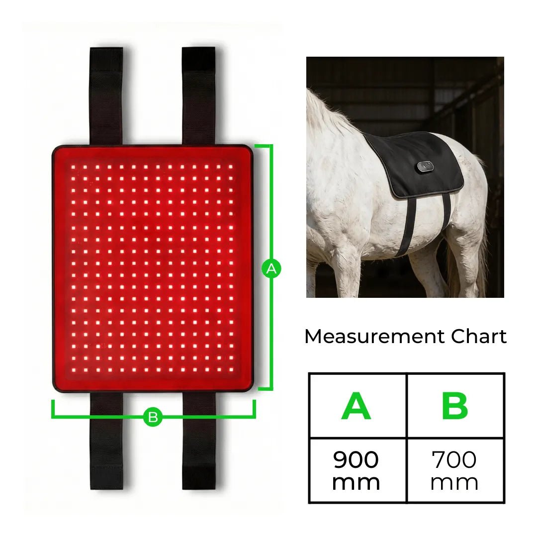 Equine Red Light Therapy Back Wrap