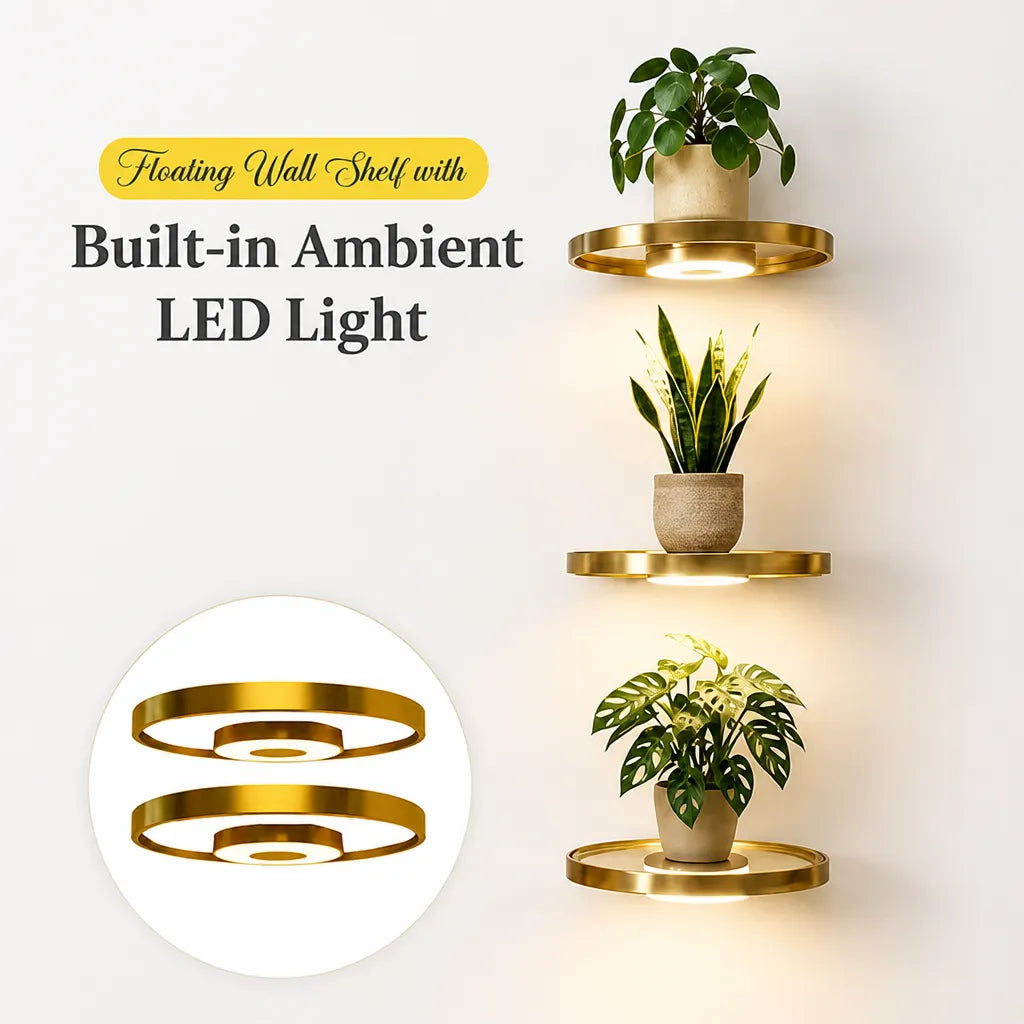 Floating Wall Shelf with Built-In LED Light