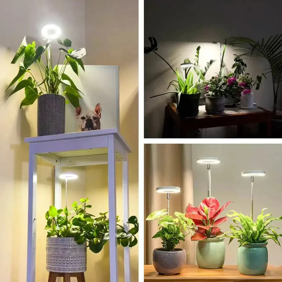 Full Spectrum LED Plant Grow Light with Timer