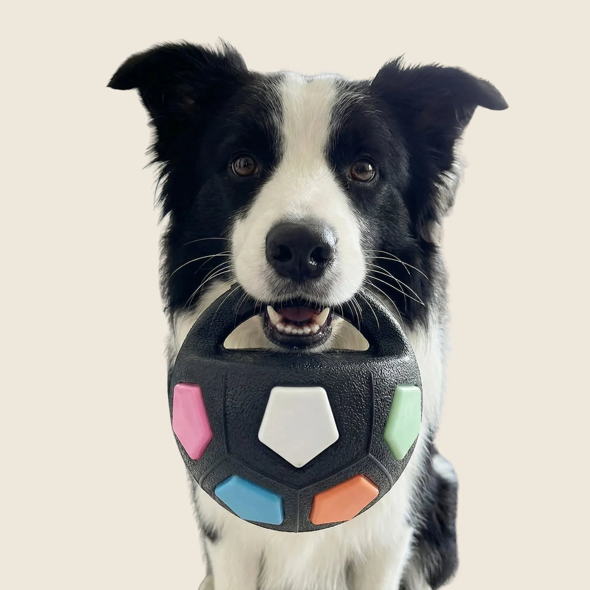 Indestructible Dog Ball for Aggressive Chewers