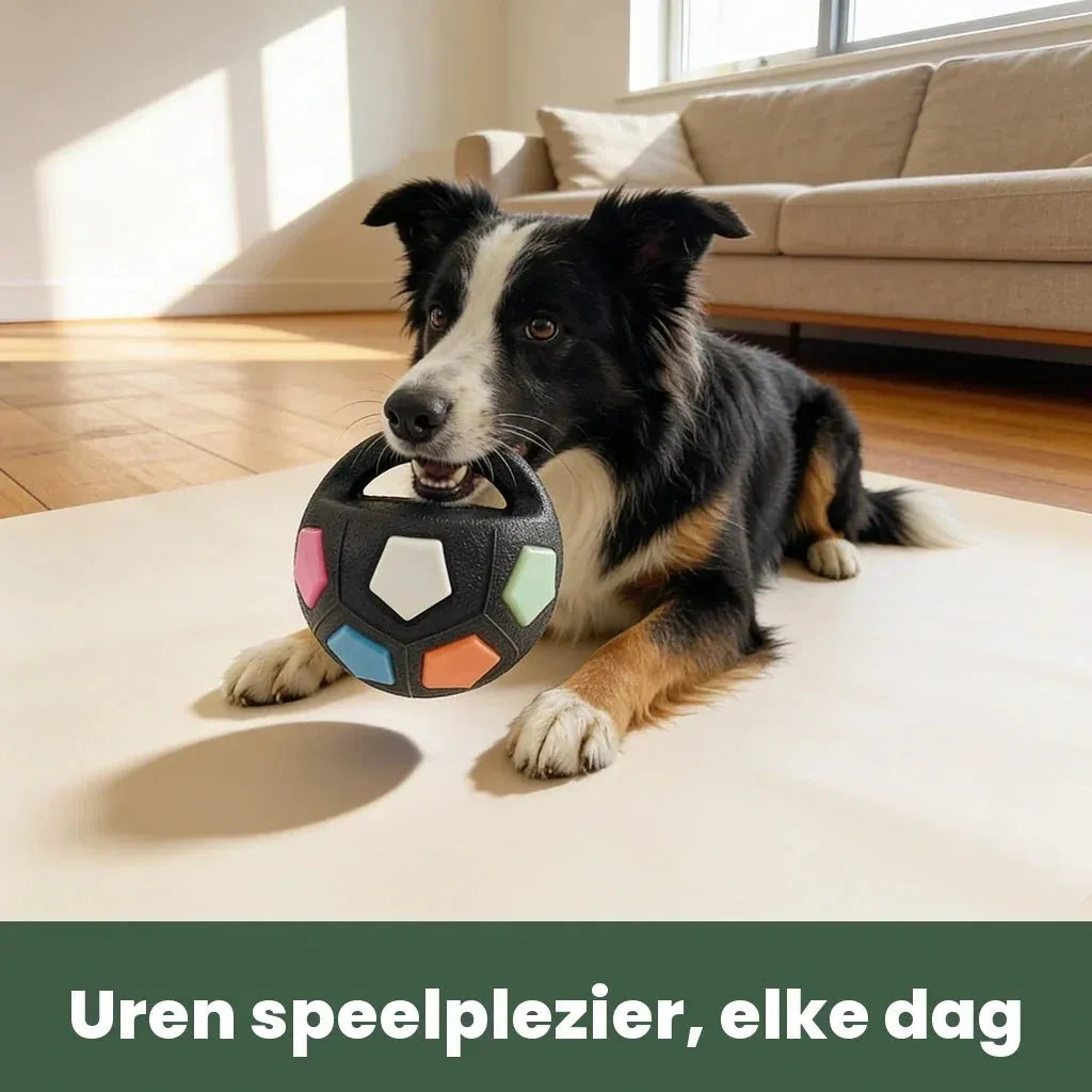 Indestructible Dog Ball for Aggressive Chewers