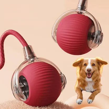 Interactive Pet Chaser Ball Toy with LED Light