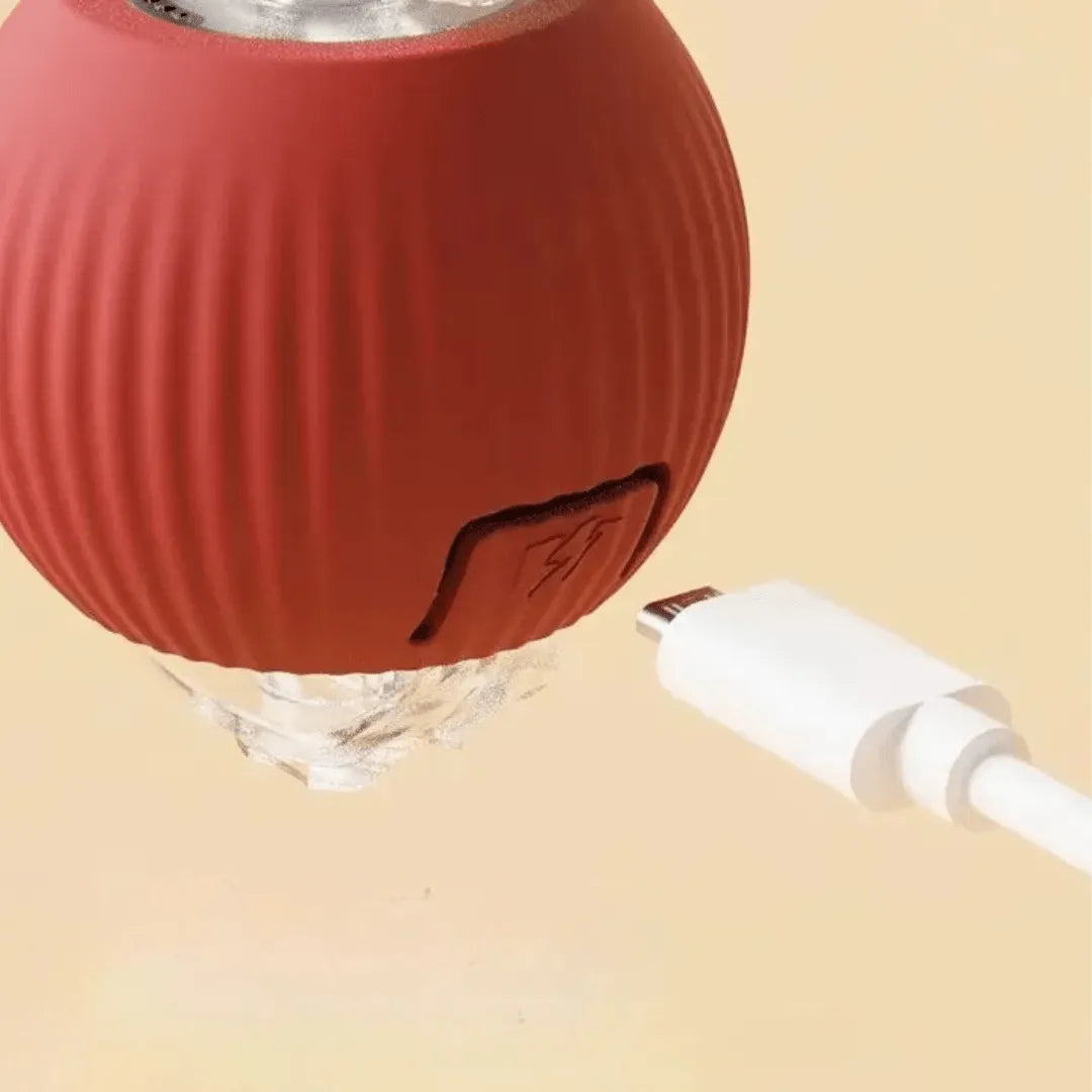 Interactive Pet Chaser Ball Toy with LED Light