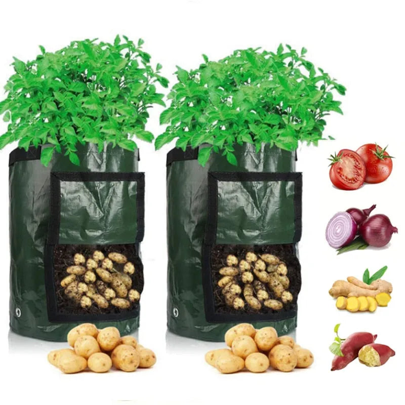 Potato Grow Bag with Harvest Window