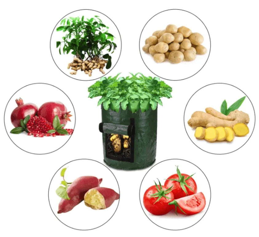 Potato Grow Bag with Harvest Window