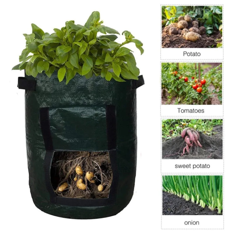 Potato Grow Bag with Harvest Window
