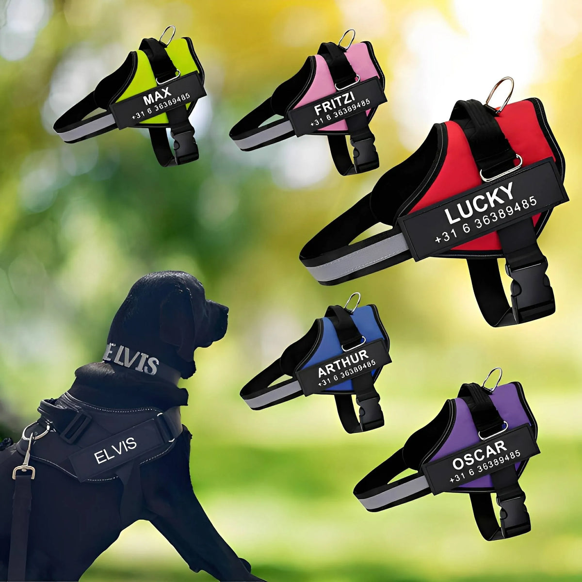 Reflective Dog Harness with Supportive Design