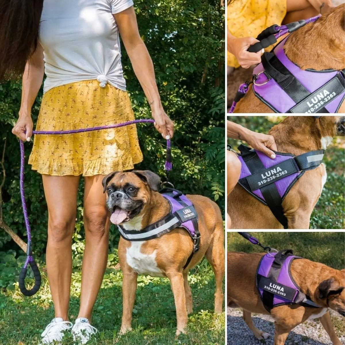 Reflective Dog Harness with Supportive Design