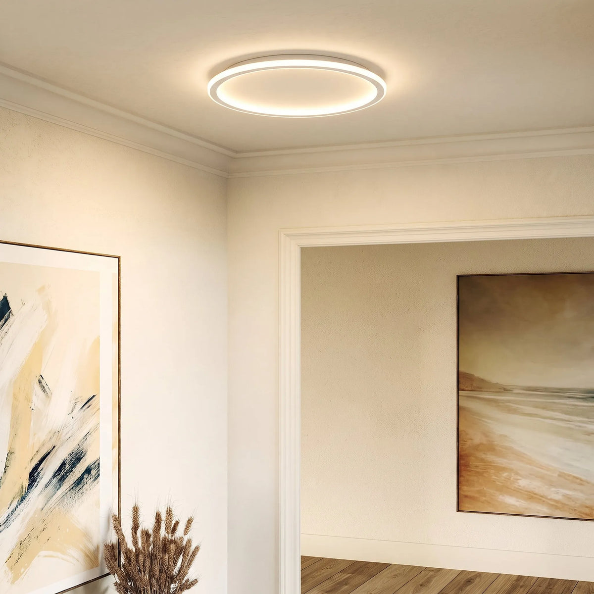 Round Dimmable LED Ceiling Light with Remote Control