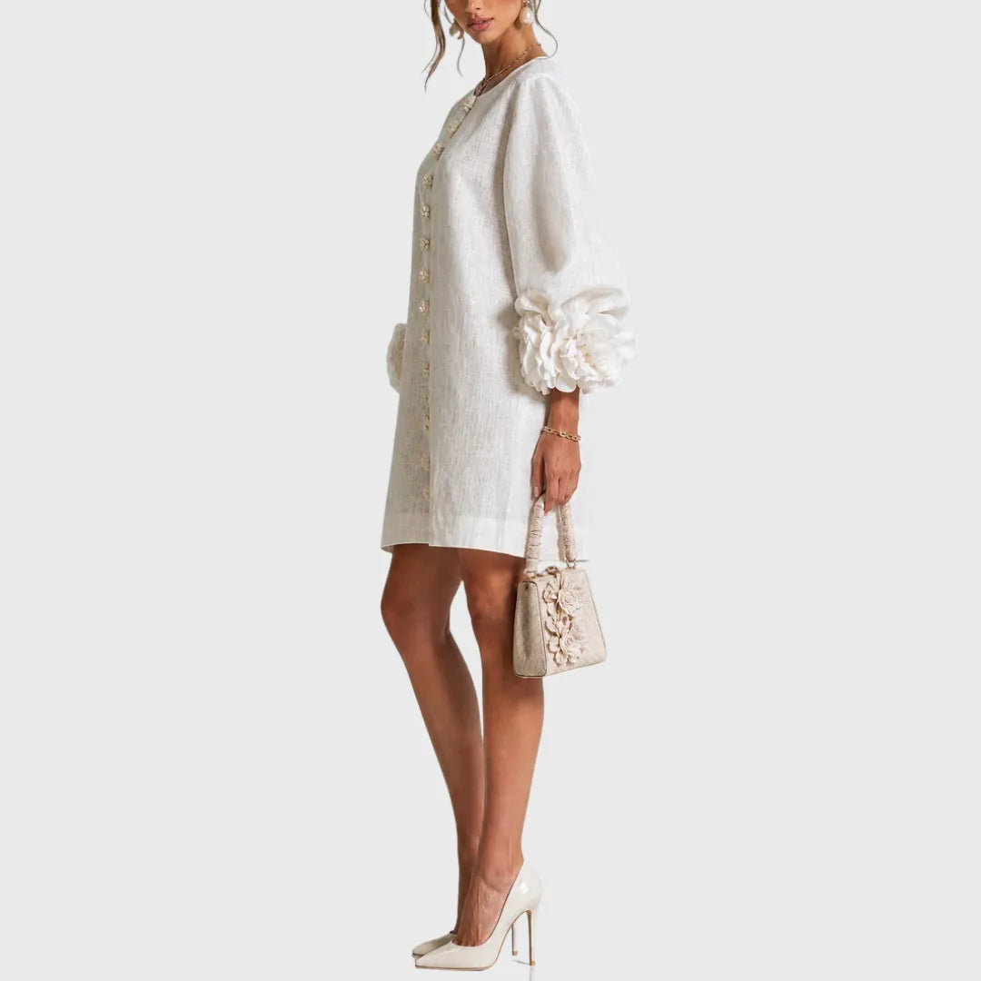Women's Elegant Puff Sleeve Mini Dress