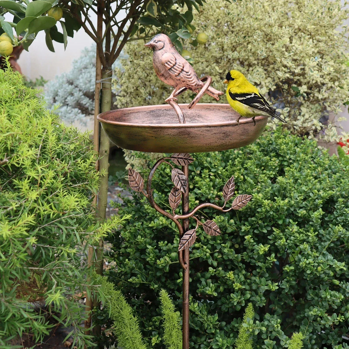 AviRest - Dekoratives freistehendes flaches Vogelbad