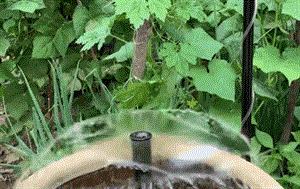 AquaPulse - Tauchpumpe für Außenbrunnen