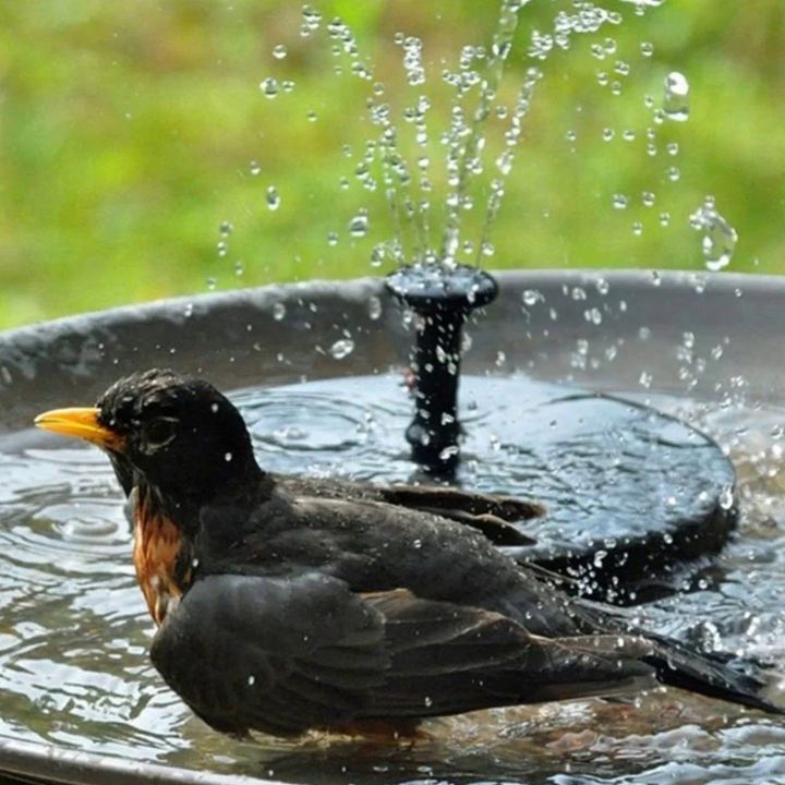 SolarFlow - Solarbrunnen für Vogeltränken