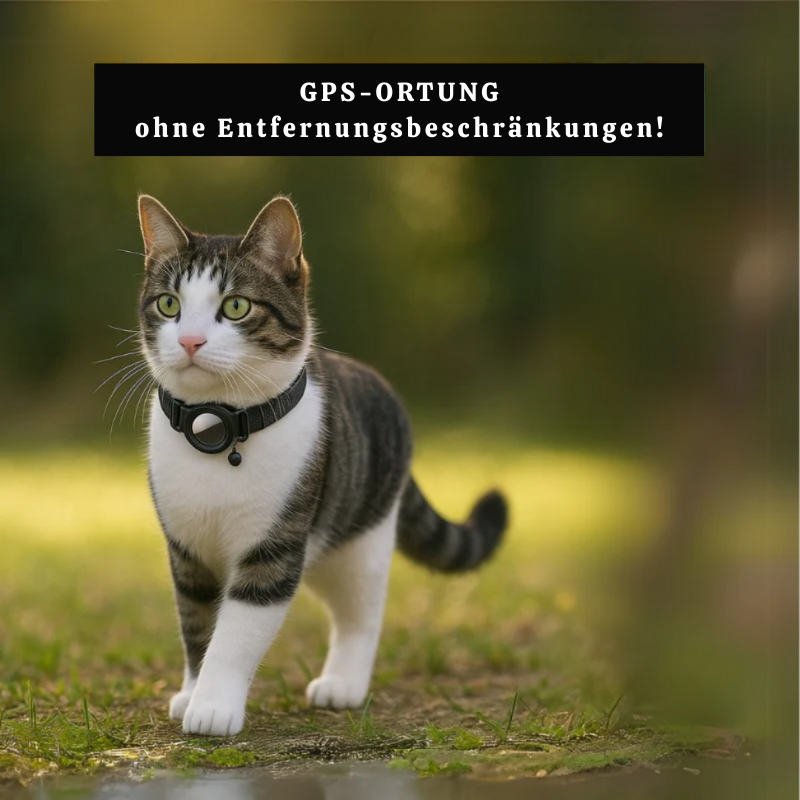 Locatiq - Verstellbarer Tracker für Katzenhalsbänder