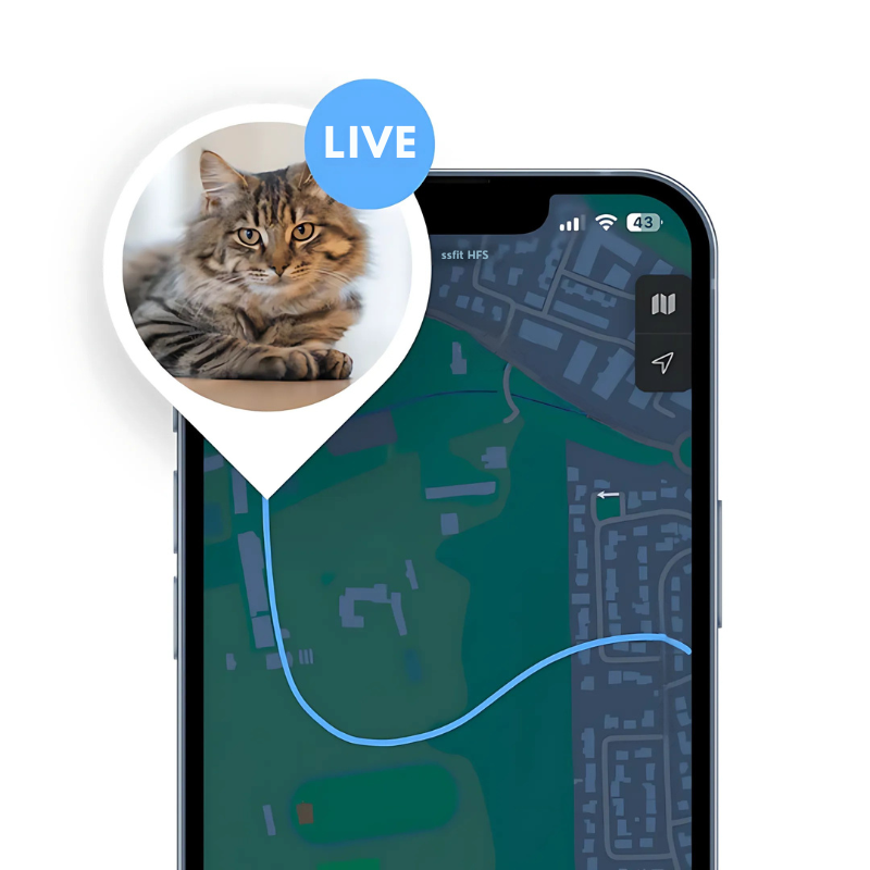 Locatiq - Verstellbarer Tracker für Katzenhalsbänder