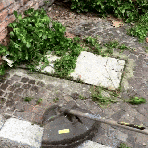Buxcut - Geflochtener Ersatzkopf für Rasentrimmer