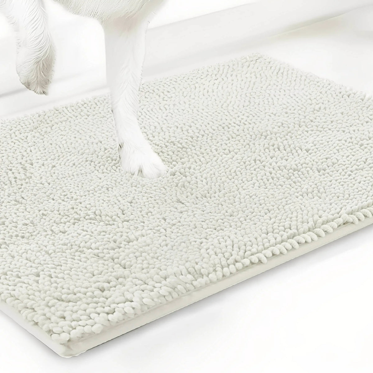 Absorbent Non-Slip Dog Door Mat for Muddy Paws