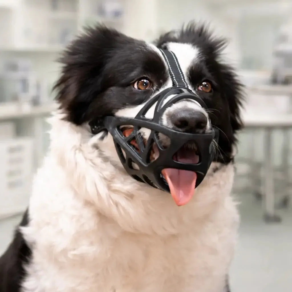 Breathable Dog Muzzle with Adjustable Reflective Strap