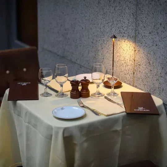 Cordless Dimmable LED Table Lamp with Touch Control