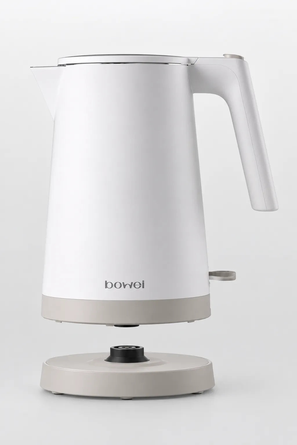Electric Kettle with Adjustable Temperature Control