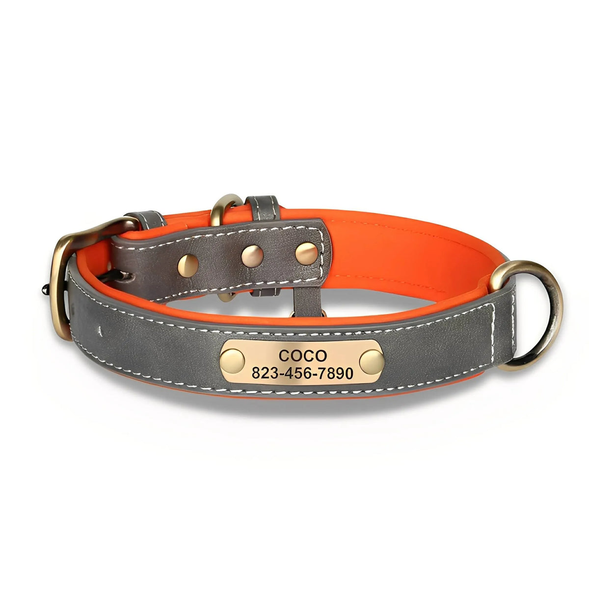 Engraved Leather Dog Collar with Nameplate