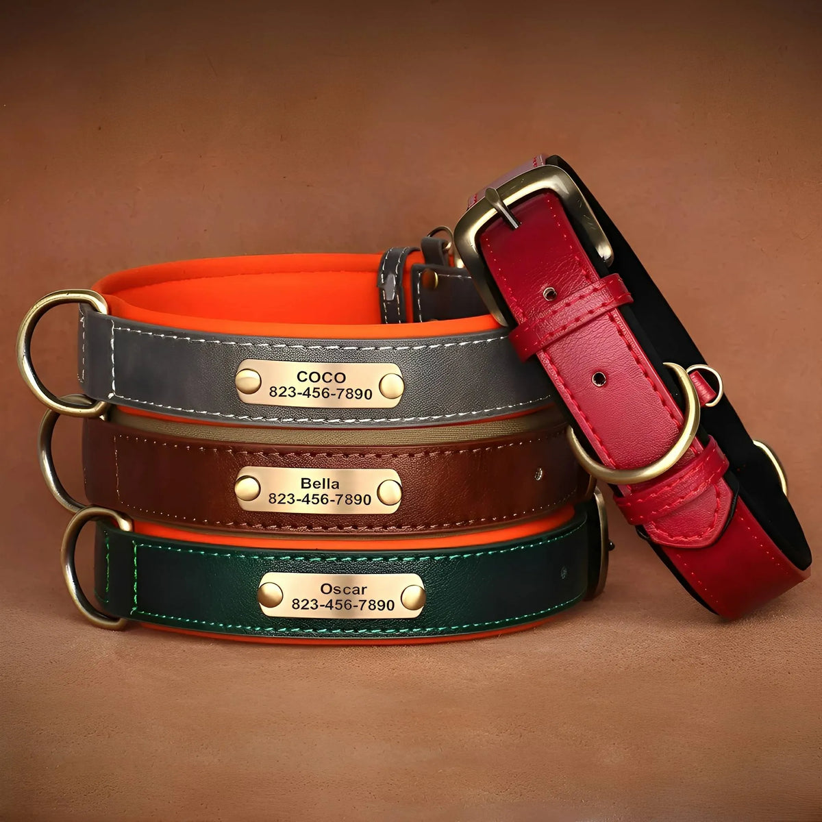 Engraved Leather Dog Collar with Nameplate