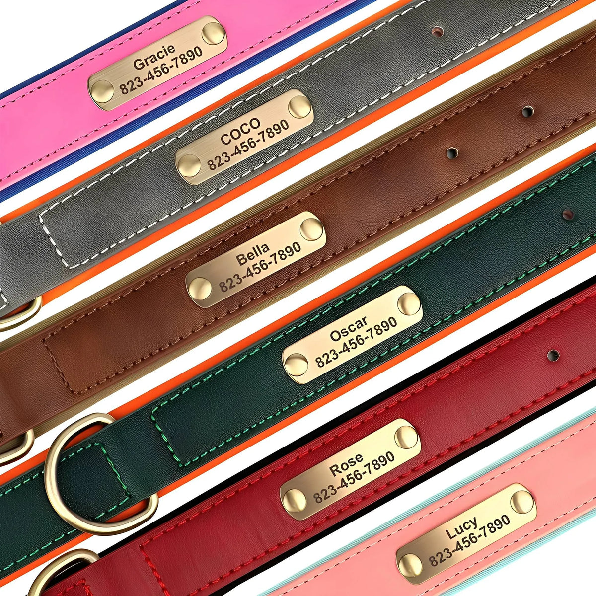 Engraved Leather Dog Collar with Nameplate
