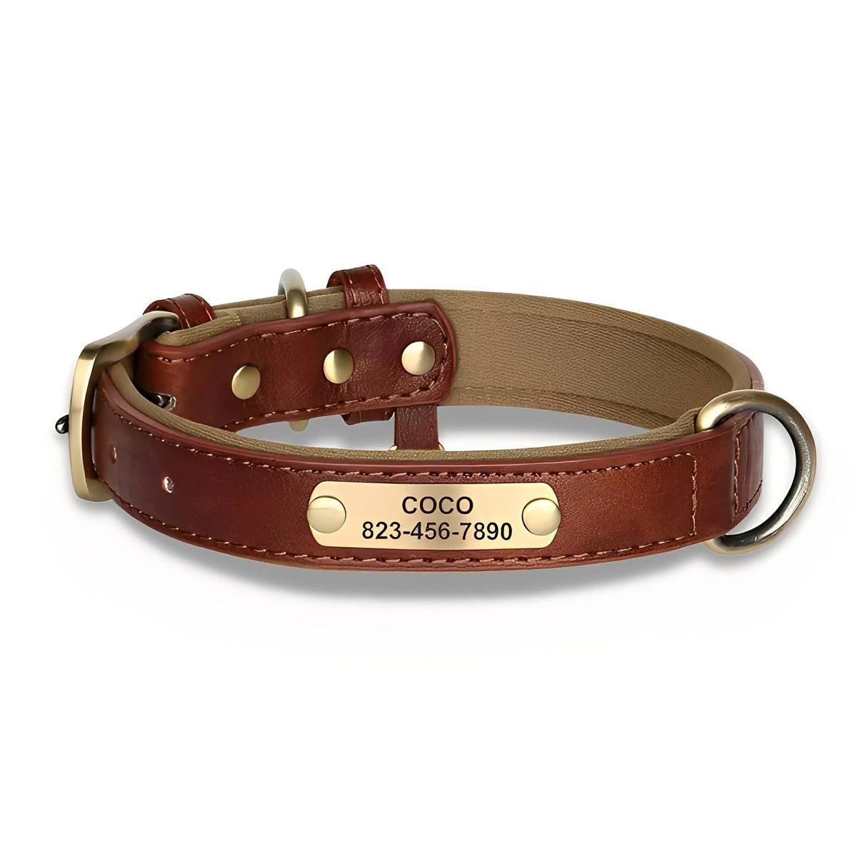 Engraved Leather Dog Collar with Nameplate