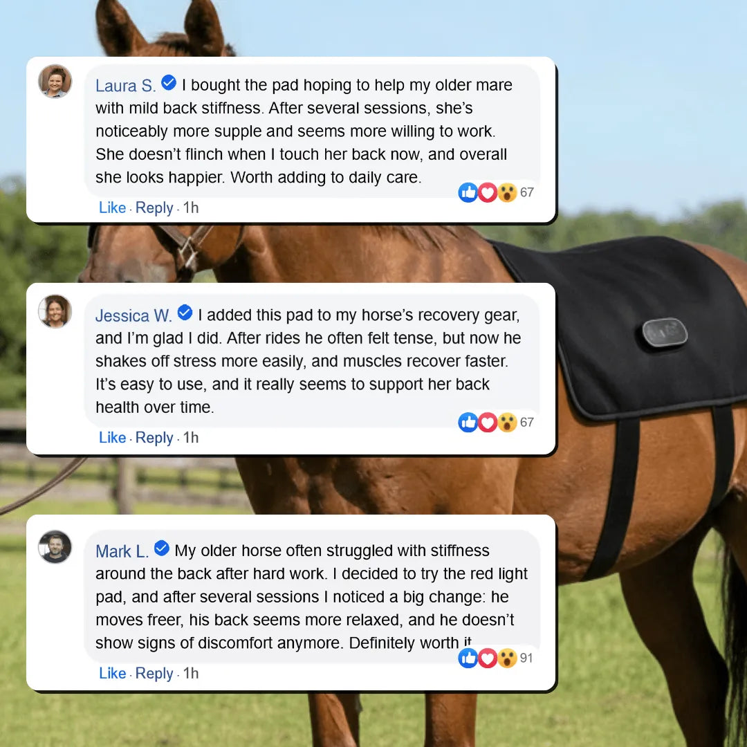 Equine Red Light Therapy Back Wrap