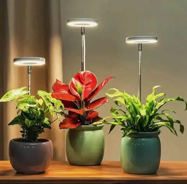 Full Spectrum LED Plant Grow Light with Timer