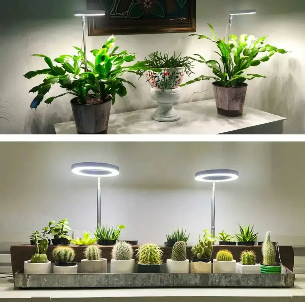Full Spectrum LED Plant Grow Light with Timer