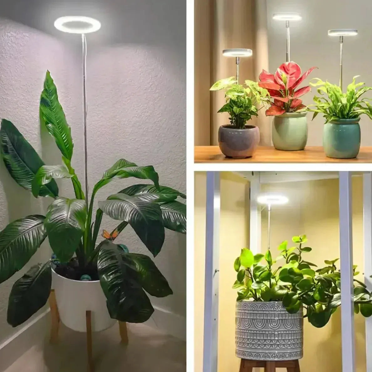 Full Spectrum LED Plant Grow Light with Timer