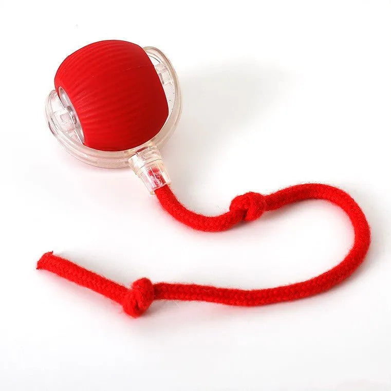 Interactive Pet Chaser Ball Toy with LED Light
