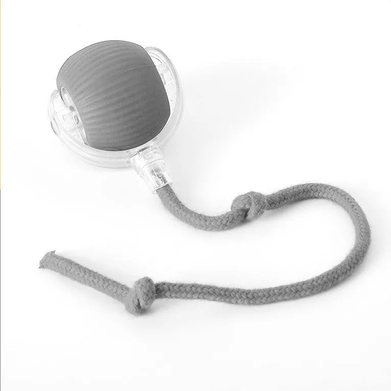 Interactive Pet Chaser Ball Toy with LED Light