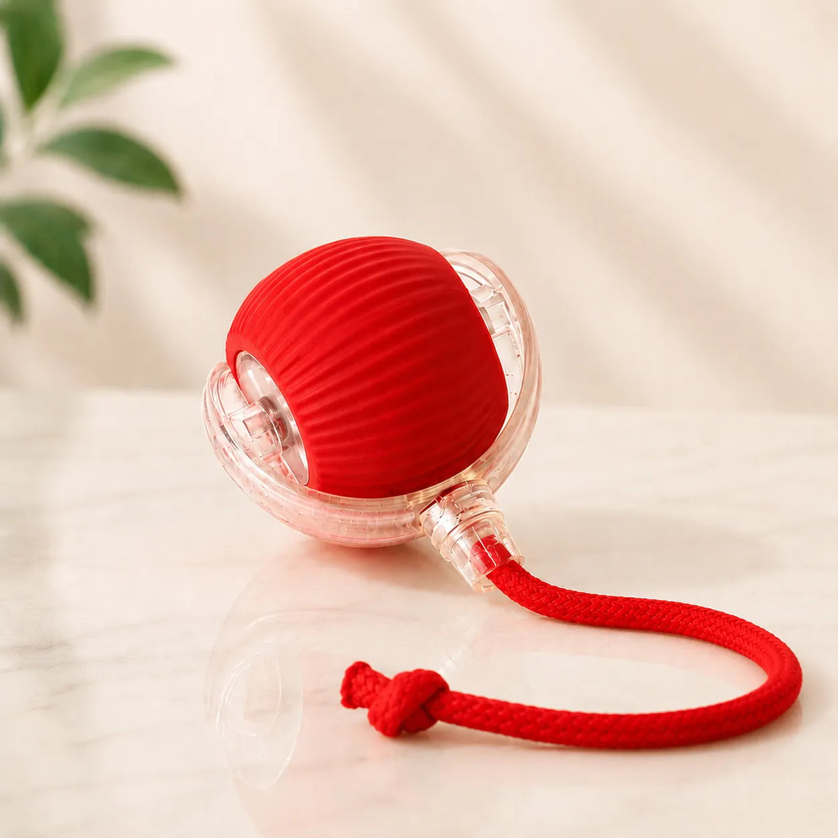 Interactive Pet Chaser Ball Toy with LED Light