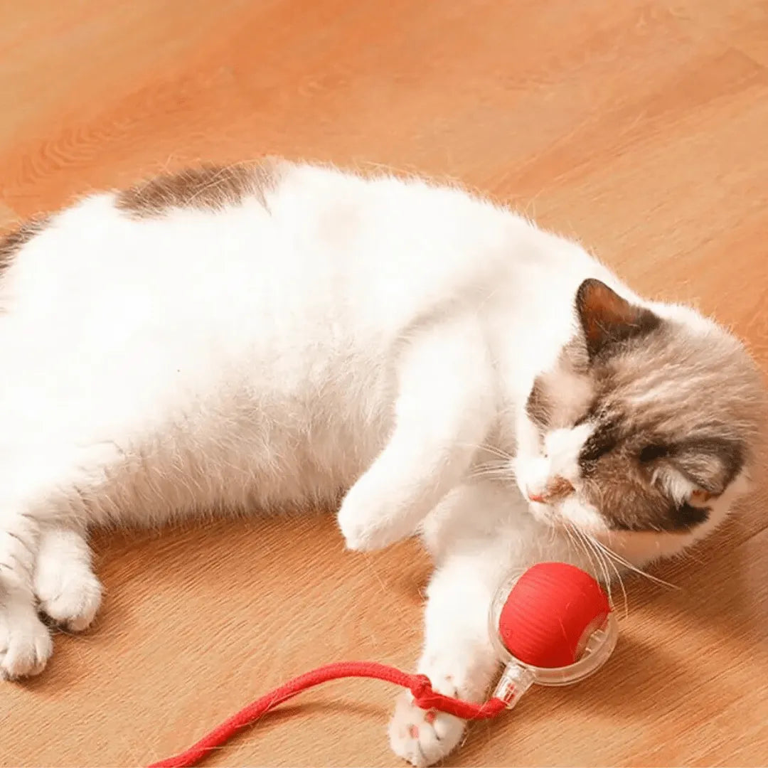 Interactive Pet Chaser Ball Toy with LED Light