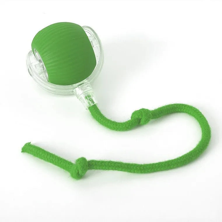 Interactive Pet Chaser Ball Toy with LED Light