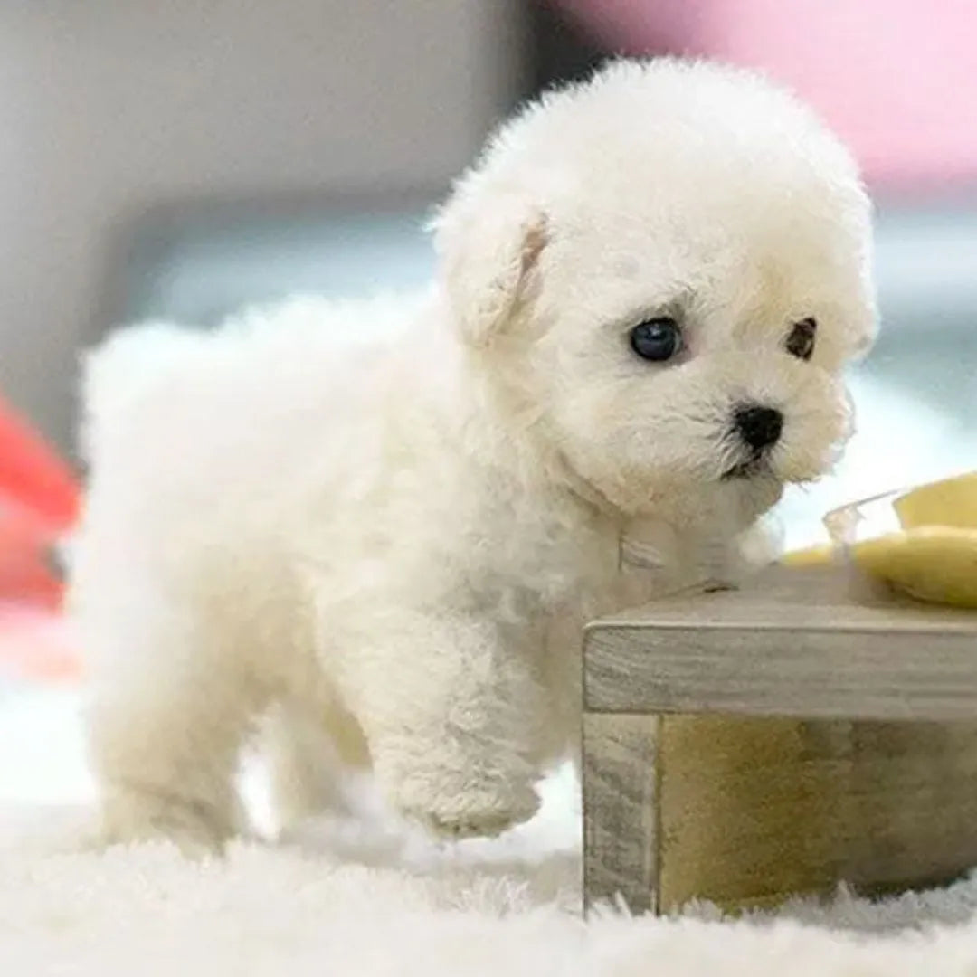 Interactive Robot Puppy Toy for Kids